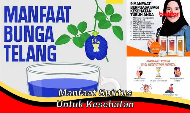 manfaat spirtus untuk kesehatan manfaat spirtus untuk kesehatan