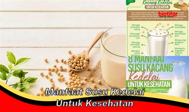 manfaat susu kedelai untuk kesehatan manfaat susu kedelai untuk kesehatan