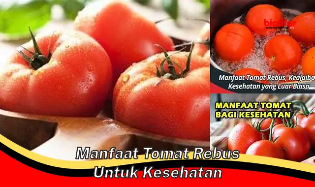 Temukan Manfaat Tomat Rebus untuk Kesehatan yang Jarang Diketahui
