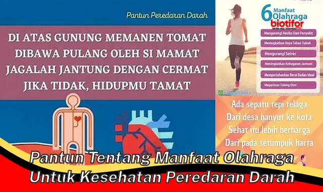 pantun tentang manfaat olahraga untuk kesehatan peredaran darah pantun tentang manfaat olahraga untuk kesehatan peredaran darah