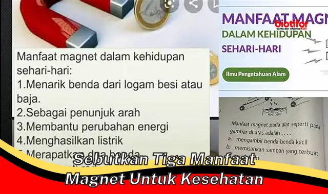 sebutkan tiga manfaat magnet untuk kesehatan sebutkan tiga manfaat magnet untuk kesehatan