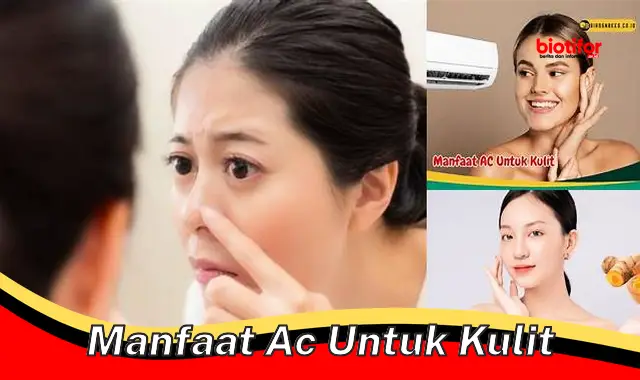 Temukan Manfaat AC untuk Kulit yang Belum Banyak Diketahui