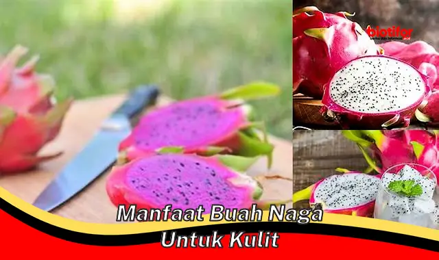 Temukan 5 Manfaat Buah Naga untuk Kulit yang Jarang Diketahui