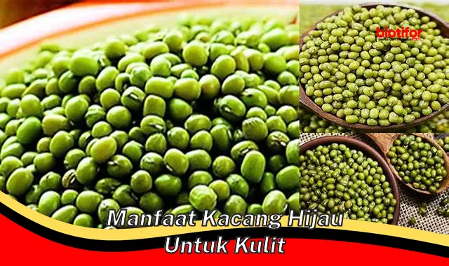 Temukan Manfaat Kacang Hijau untuk Kulit Anda yang Belum Diketahui!