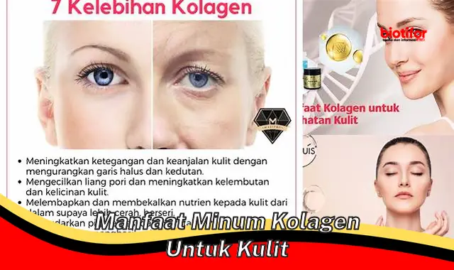 Temukan Manfaat Minum Kolagen Jarang Diketahui untuk Kulit!