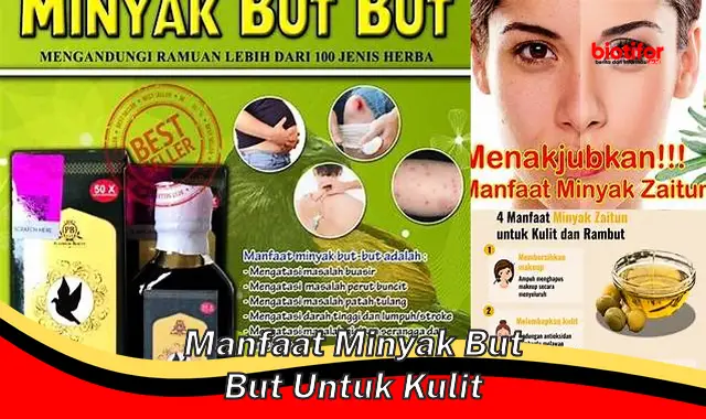 Temukan Manfaat Minyak But But untuk Kulit yang Jarang Diketahui!