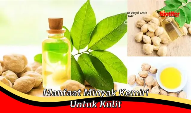 manfaat minyak kemiri untuk kulit manfaat minyak kemiri untuk kulit