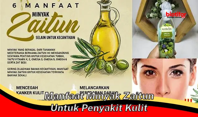 Ungkap Manfaat Minyak Zaitun untuk Masalah Kulit yang Perlu Anda Tahu