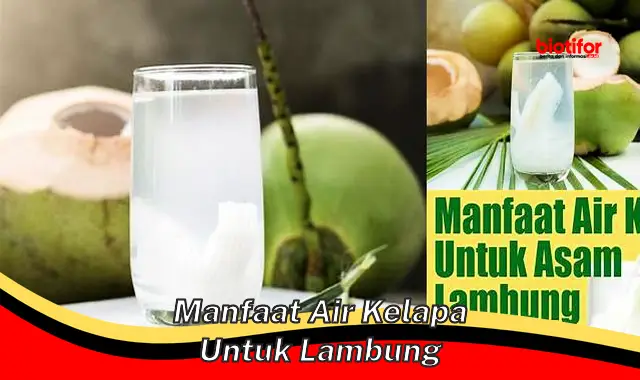 5 Manfaat Air Kelapa yang Wajib Anda Ketahui untuk Kesehatan Lambung