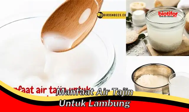manfaat air tajin untuk lambung manfaat air tajin untuk lambung
