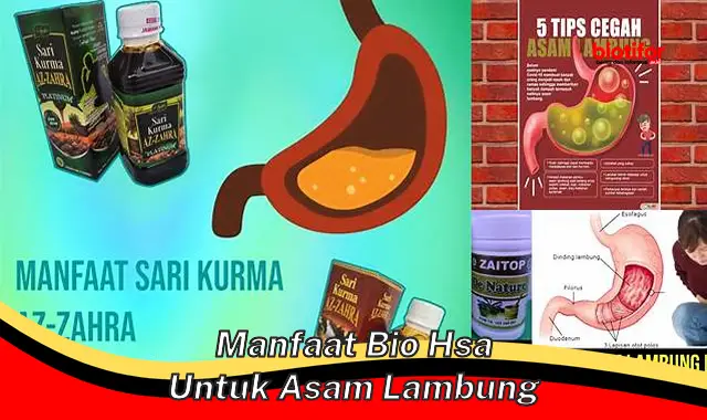 Temukan 5 Manfaat Bio HSA untuk Asam Lambung yang Jarang Diketahui