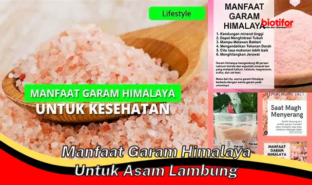 5 Manfaat Garam Himalaya untuk Asam Lambung yang Perlu Kamu Tahu