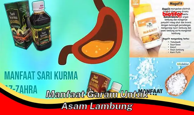 Temukan Manfaat Garam untuk Asam Lambung, Rahasia Langka yang Perlu Anda Tahu