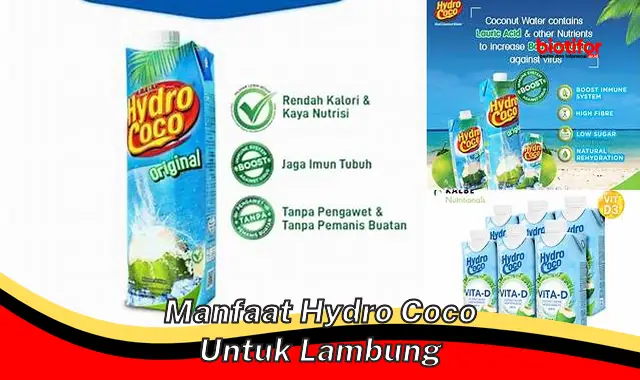 5 Manfaat Hydro Coco Untuk Lambung yang Jarang Diketahui