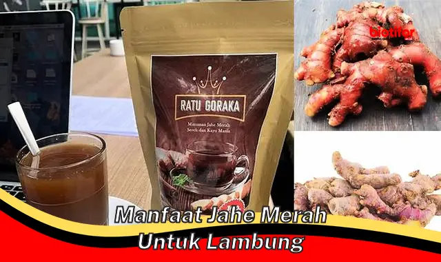 Temukan Manfaat Jahe Merah untuk Lambung, Rahasia yang Jarang Diketahui!