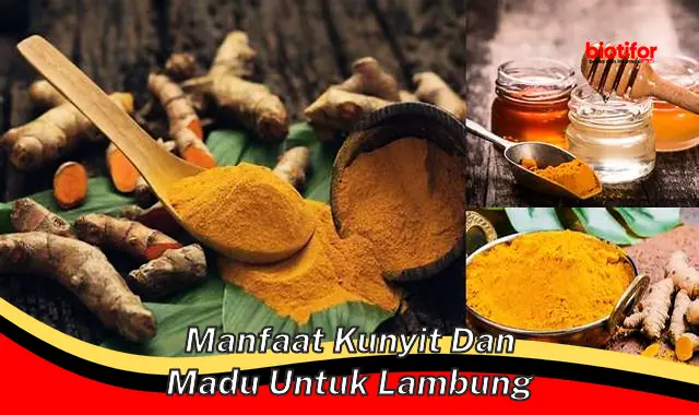 Temukan Manfaat Kunyit dan Madu untuk Lambung yang Jarang Diketahui