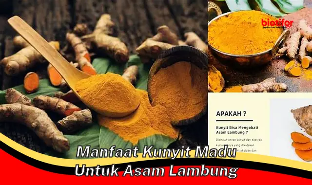 Temukan Manfaat Kunyit Madu untuk Lambung yang Belum Diketahui