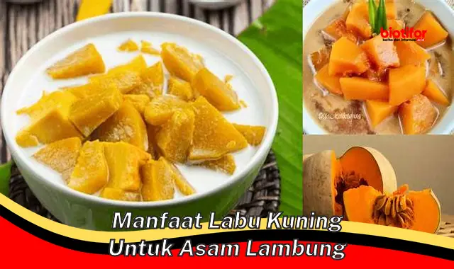 manfaat labu kuning untuk asam lambung