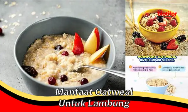 Temukan 5 Manfaat Oatmeal untuk Lambung yang Jarang Diketahui