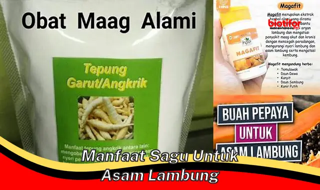 Temukan Manfaat Sagu untuk Asam Lambung yang Jarang Diketahui