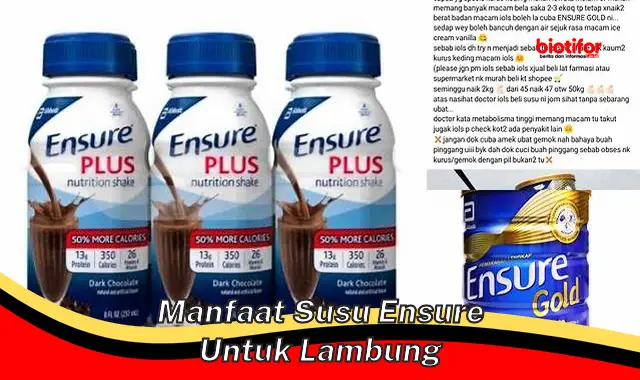 Temukan Manfaat Susu Ensure untuk Lambung yang Jarang Diketahui