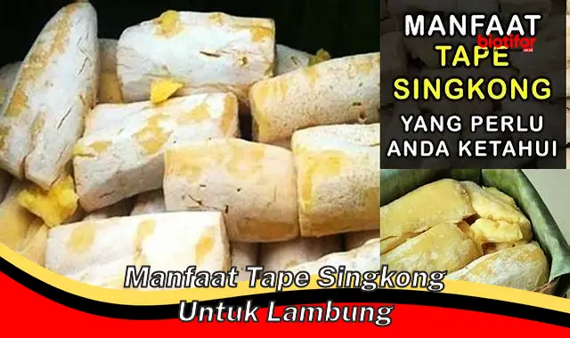 Temukan Manfaat Tape Singkong untuk Lambung Yang Jarang Anda Ketahui