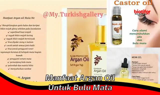 Temukan Manfaat Argan Oil untuk Bulu Mata yang Patut Diketahui