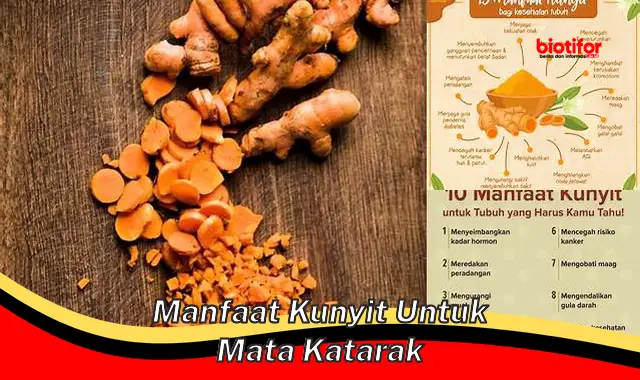 Temukan Manfaat Kunyit untuk Mata Katarak yang Jarang Diketahui