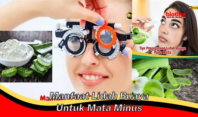 5 Manfaat Lidah Buaya untuk Mata Minus yang Jarang Diketahui