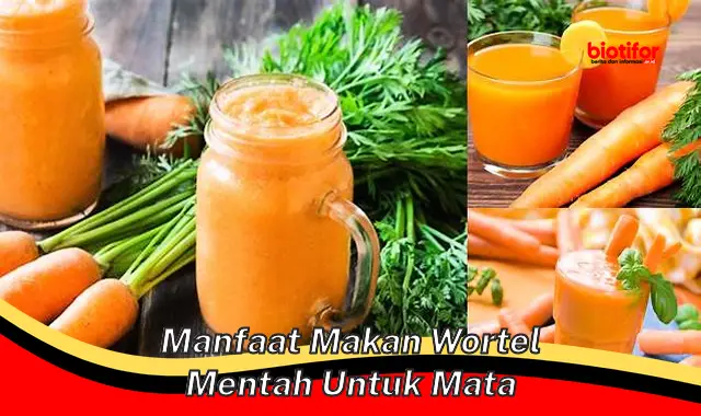 Temukan 5 Manfaat Makan Wortel Mentah untuk Mata yang Jarang Diketahui!