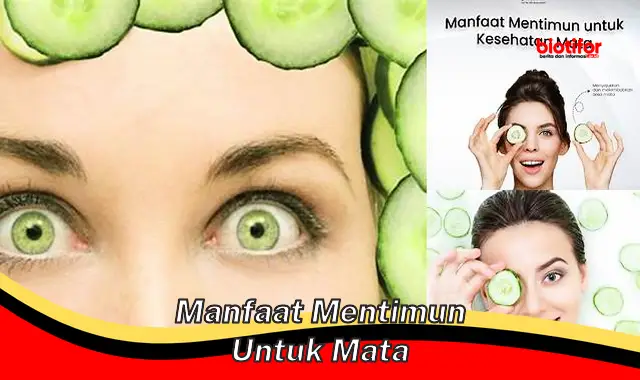 Temukan Manfaat Mentimun untuk Mata yang Jarang Diketahui