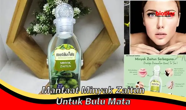 Temukan Manfaat Minyak Zaitun untuk Bulu Mata yang Jarang Diketahui