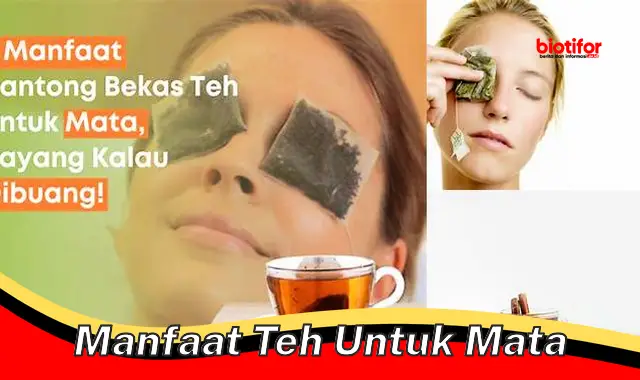 Temukan 5 Manfaat Teh untuk Mata yang Jarang Diketahui