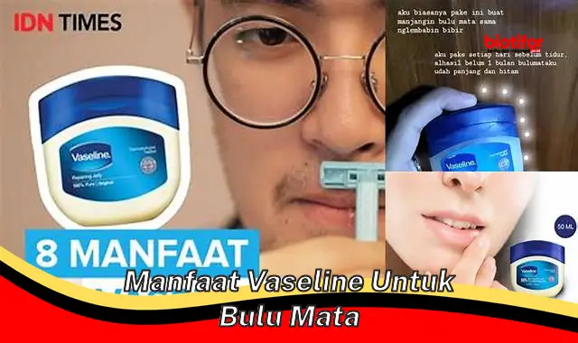 Temukan Manfaat Vaseline untuk Bulu Mata yang Jarang Diketahui