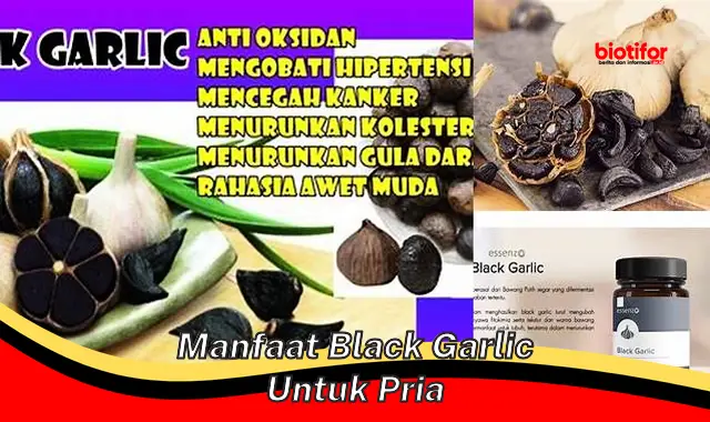 Temukan Manfaat Black Garlic untuk Pria yang Jarang Diketahui