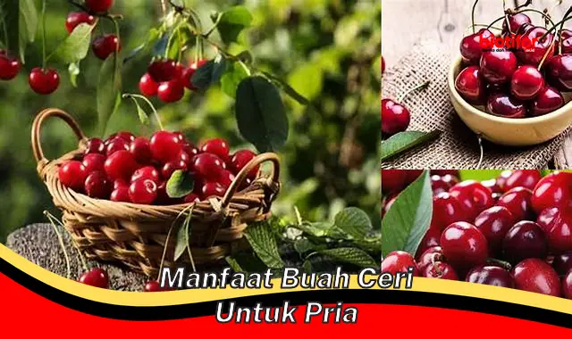 Temukan Ragam Khasiat Buah Ceri untuk Pria, Rahasia yang Belum Banyak Diketahui!