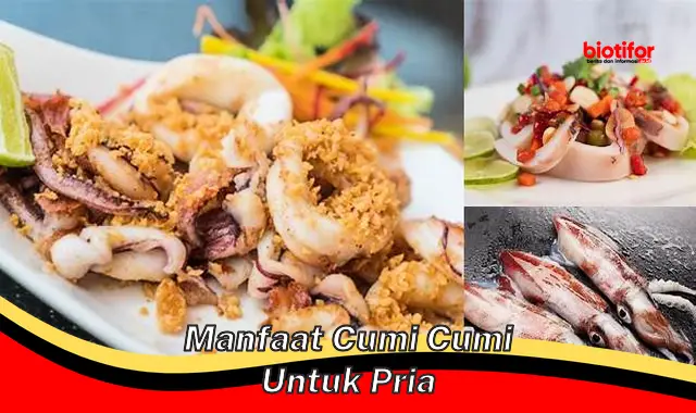 Temukan 5 Manfaat Cumi-cumi untuk Pria yang Jarang Diketahui