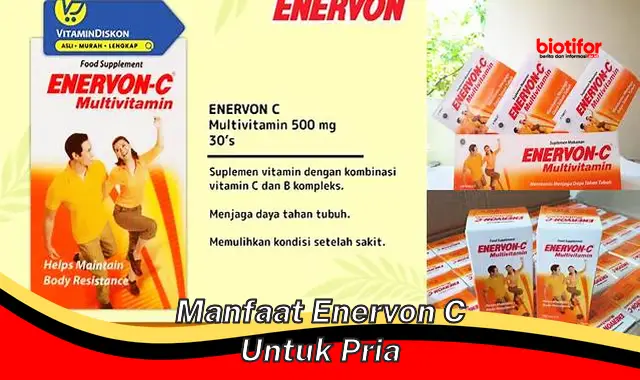 Temukan 5 Manfaat Enervon C untuk Pria yang Jarang Diketahui