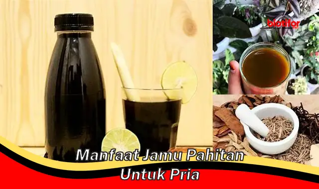 Temukan Manfaat Jamu Pahitan untuk Pria yang Jarang Diketahui