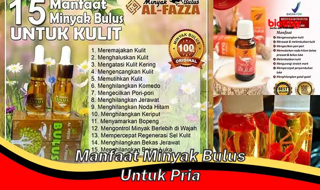 Temukan Berbagai Manfaat Minyak Bulus Untuk Pria Yang Jarang Diketahui