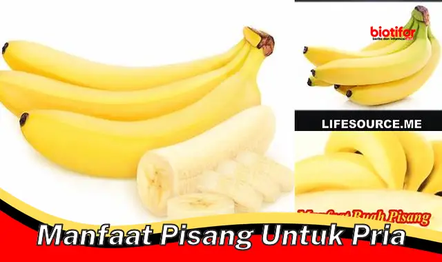 Temukan Manfaat Pisang untuk Pria yang Jarang Diketahui