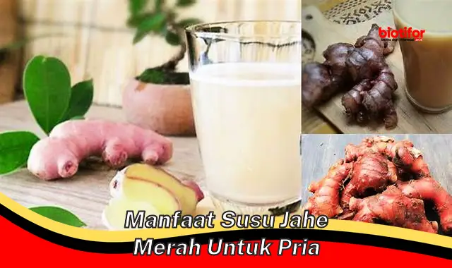 Temukan Khasiat Susu Jahe Merah untuk Pria, Jarang Diketahui!