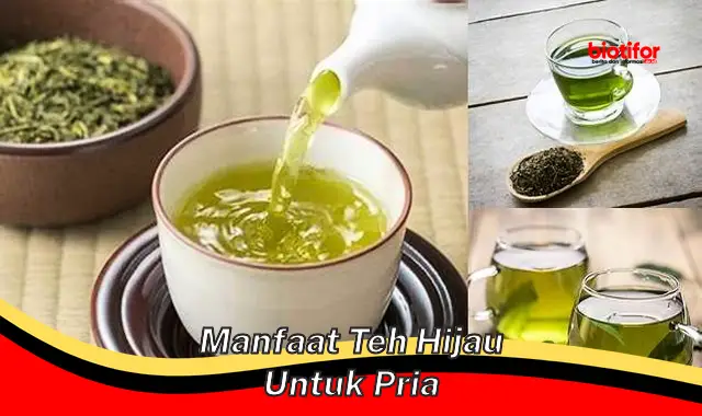 Temukan Manfaat Teh Hijau untuk Pria yang Jarang Diketahui