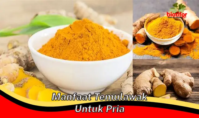 Ungkap Manfaat Luar Biasa Temulawak untuk Pria yang Jarang Diketahui