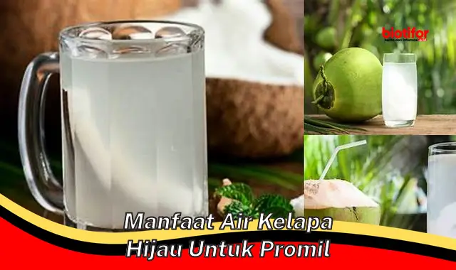 Menyingkap Manfaat Air Kelapa Hijau untuk Promil, yang Jarang Diketahui!