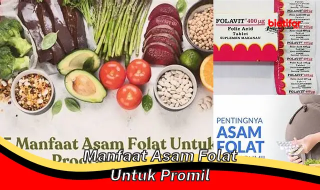 Temukan Manfaat Asam Folat untuk Promil yang Jarang Diketahui