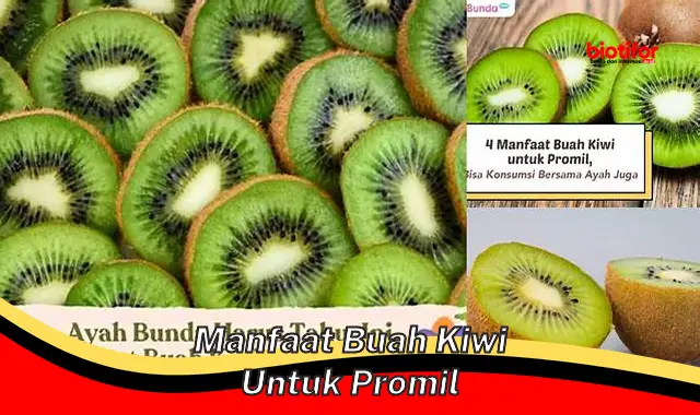 Temukan Manfaat Buah Kiwi untuk Promil yang Jarang Diketahui