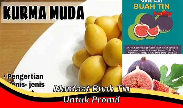 Temukan 5 Manfaat Buah Tin untuk Promil yang Jarang Diketahui