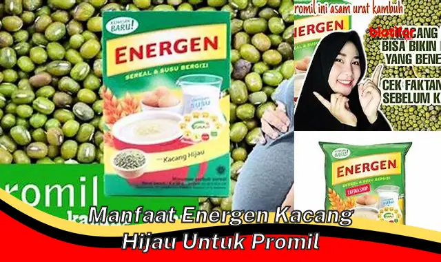 Temukan Manfaat Energen Kacang Hijau untuk Program Hamil yang Jarang Diketahui