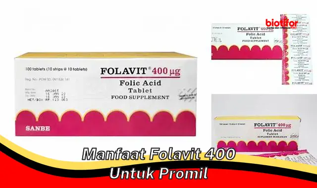 Temukan Manfaat Folavit 400 untuk Promil yang Jarang Diketahui